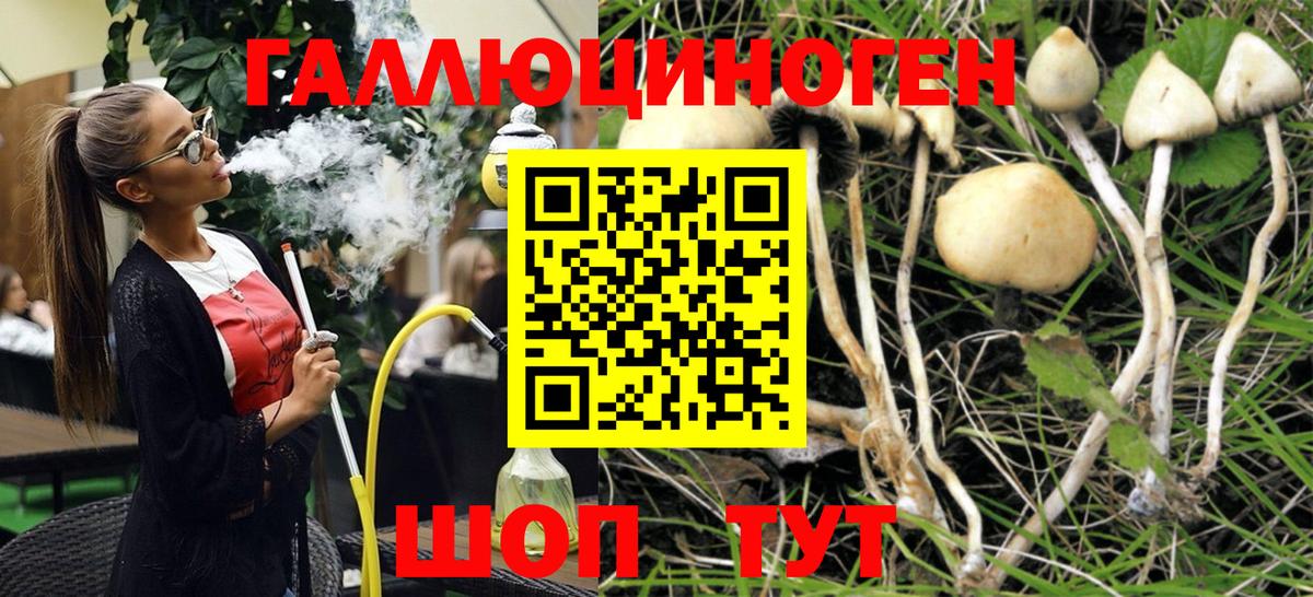 Лабинск  Псилоцибиновые грибы Magic Shrooms  Вход с VPN 